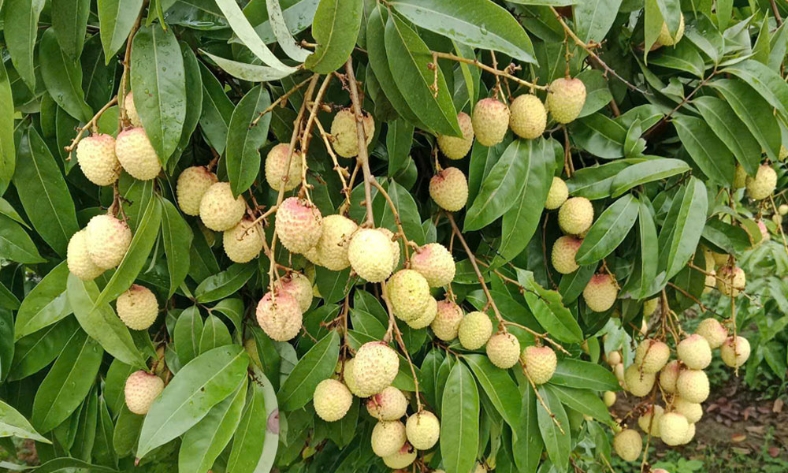  Tin tức - Sự kiện